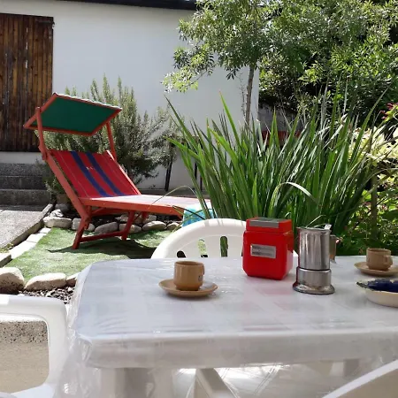 Funny Holidays In Luxury House